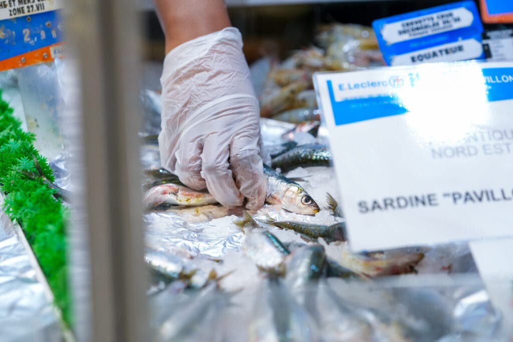 traiteur menu avec poisson pas cher dijon